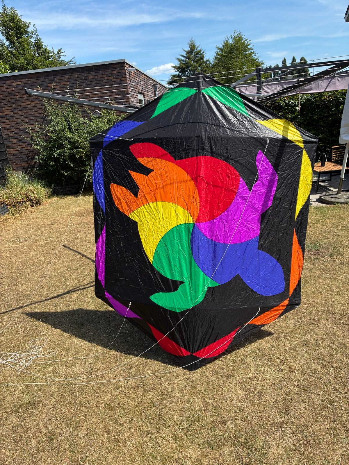 Grote Rokkaku van premier kites, Ophalen, Zo goed als nieuw, Eenlijns