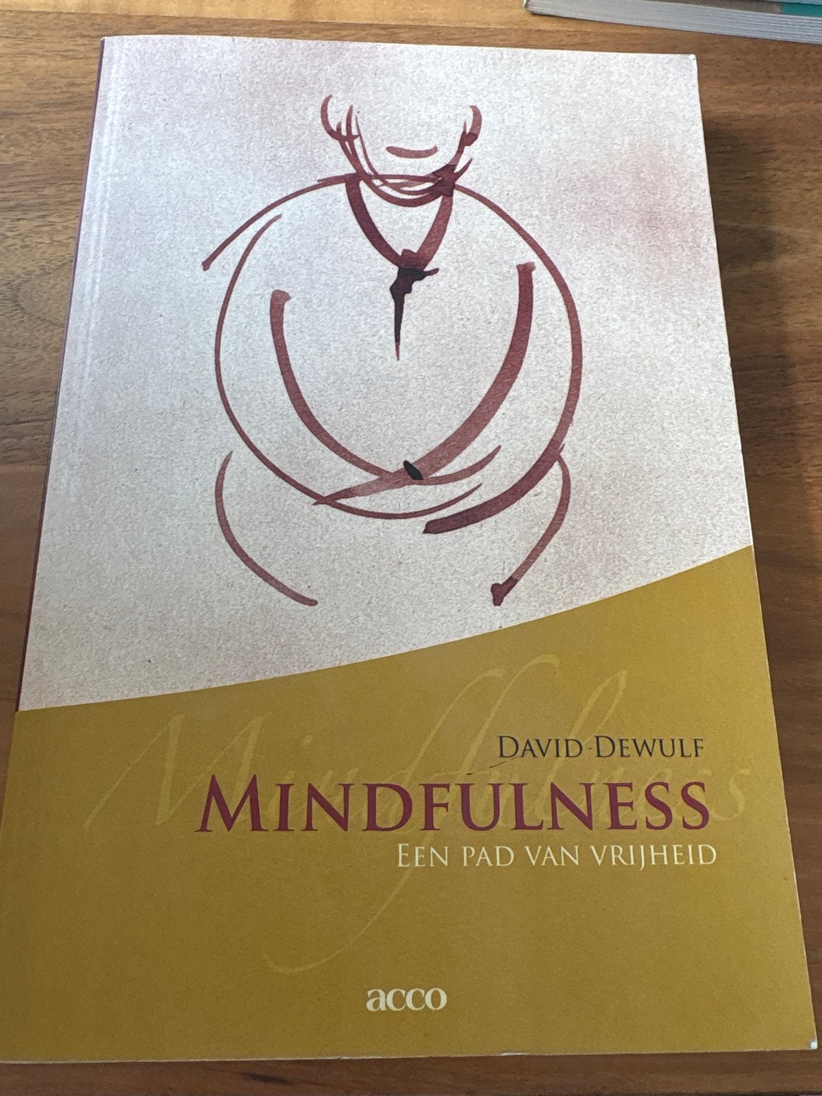 Mindfulness: Een pad van vrijheid - David Dewulf, Boeken, Ophalen of Verzenden, Zo goed als nieuw, Meditatie of Yoga, Instructieboek