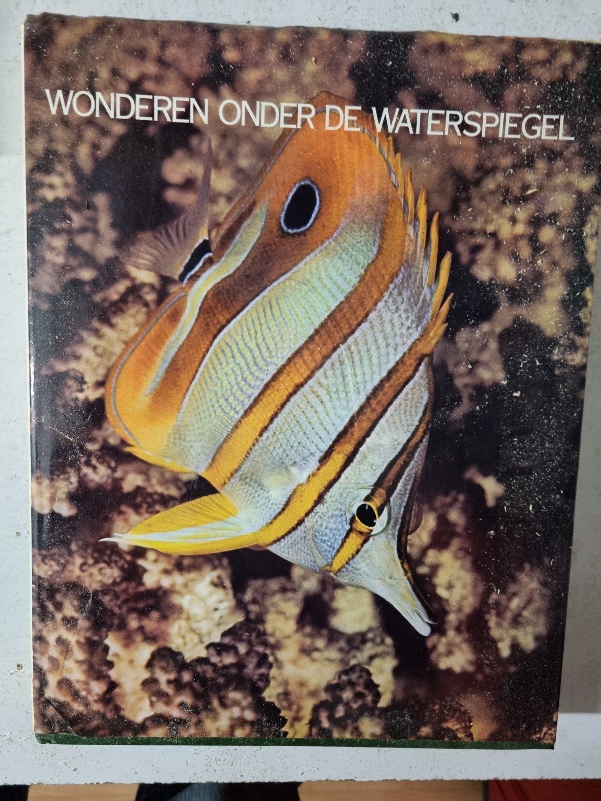 aquarium boeken, Ophalen, Plant(en), Steen of Hout