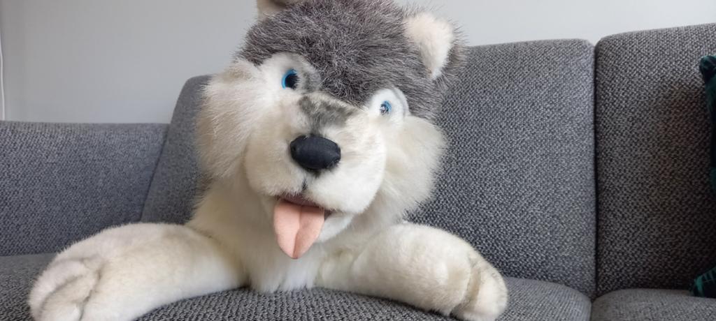 Husky hond knuffel, Verzenden, Nieuw, Hond