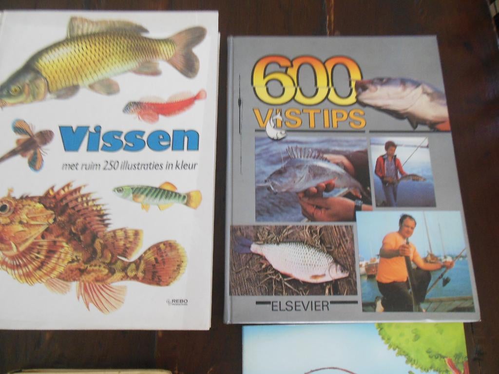 dieren boeken vissen , kippen ,zang vogels, Ophalen of Verzenden, Zo goed als nieuw, Overige diersoorten