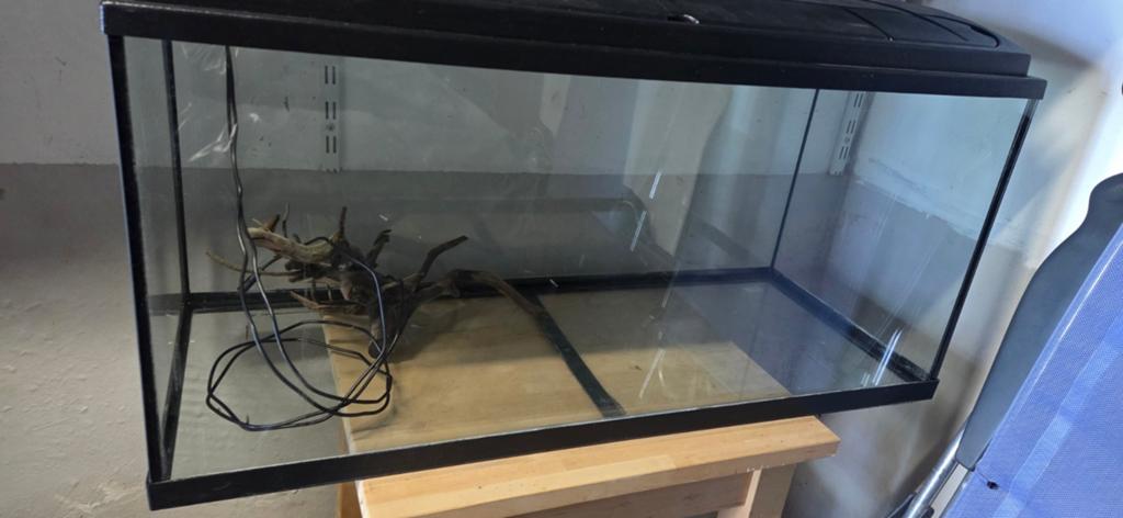 Aquarium, Ophalen, Leeg aquarium