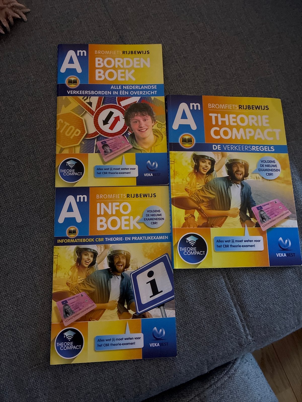 Bromfiets Theorieboeken (Bordenboek, Theorie Compact, Infobo, Boeken, Studieboeken en Cursussen, Ophalen of Verzenden, Nieuw, Overige niveaus