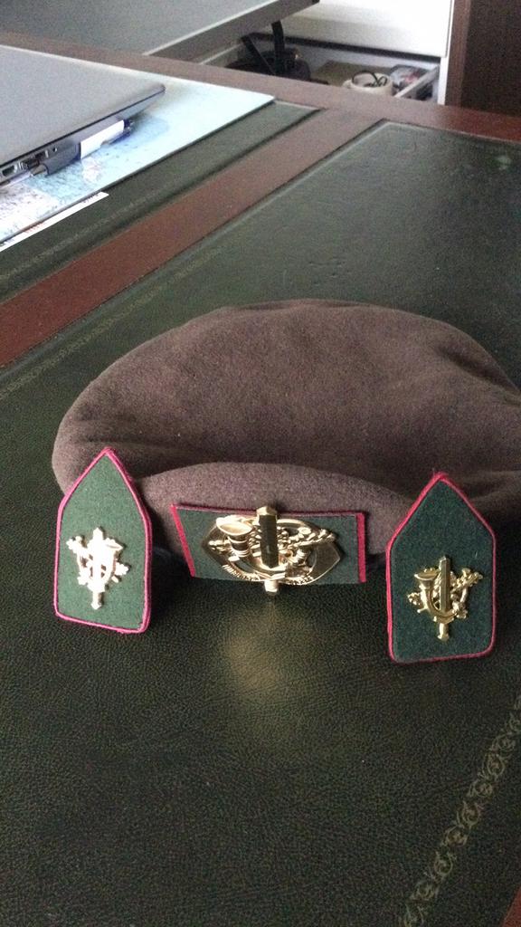 BARET LIMBURGSE JAGERS, Ophalen of Verzenden, Landmacht, Nederland, Helm of Baret