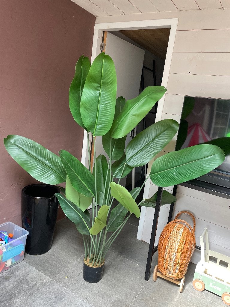 Kunstplant 170 hoog, Ophalen, Binnen, Met pot of vaas, 170 cm