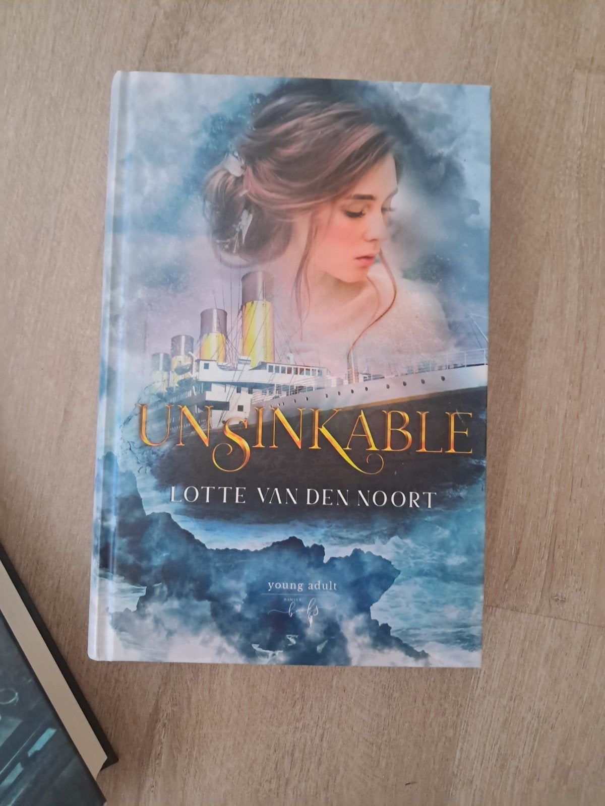 Boeken Lotte van den Noort, Boeken, Ophalen of Verzenden, Zo goed als nieuw, Lotte van den Noort