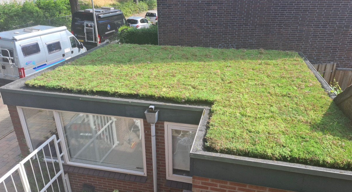 Foto 2 van Groendak Sedum cassettes maak het zelf makkelijk