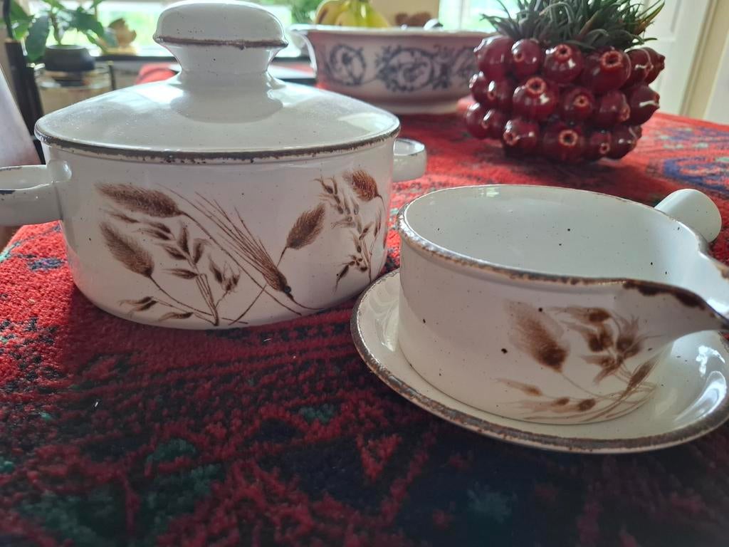 Stonehenge Midwinter Servies Delen, Ophalen of Verzenden
