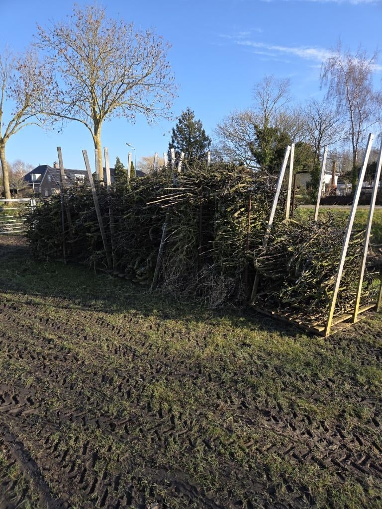 takkenril maken?  takkenscherm takken, Tuin en Terras, Schuttingen, Ophalen, 1 tot 2 meter, Minder dan 3 meter, Nieuw