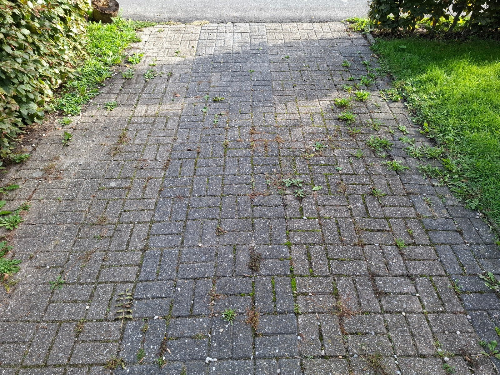 Betonklinkers, Ophalen, Beton, Klinkers