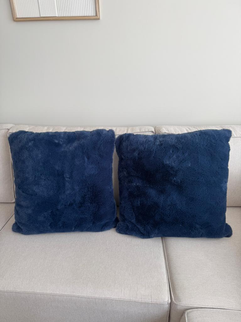Sierkussens 2 stuks 60x60, Huis en Inrichting, Woonaccessoires | Kussens, Ophalen of Verzenden, Nieuw, Blauw, Vierkant