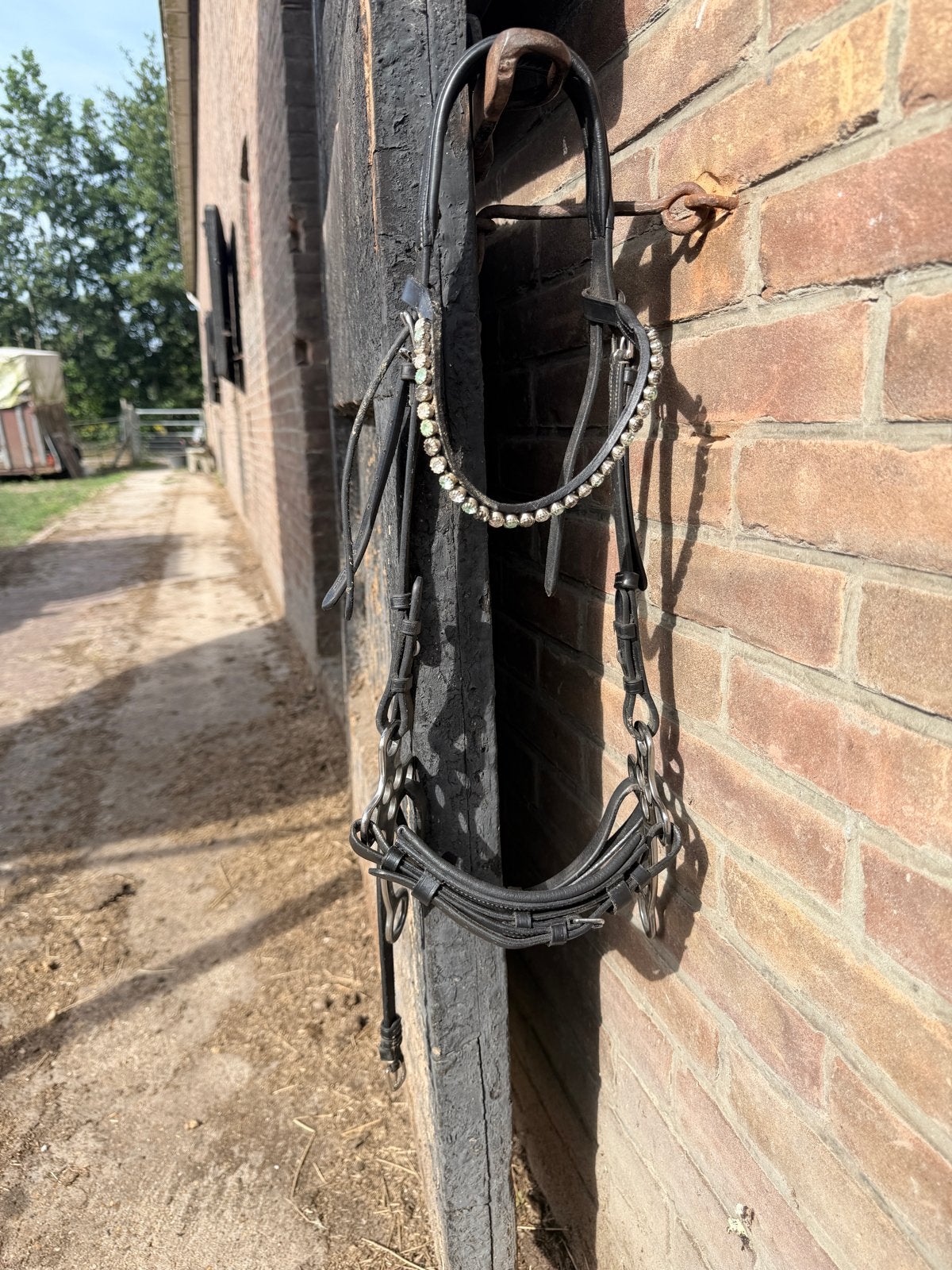 Hackamore zwart maat full, Hoofdstel, Ophalen of Verzenden, Anatomisch gevormd, Full