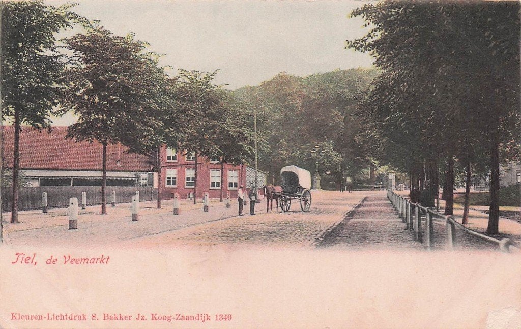 Tiel - de veemarkt met koets en paard (voor 1907), Ophalen of Verzenden, Voor 1920, Ongelopen, Gelderland