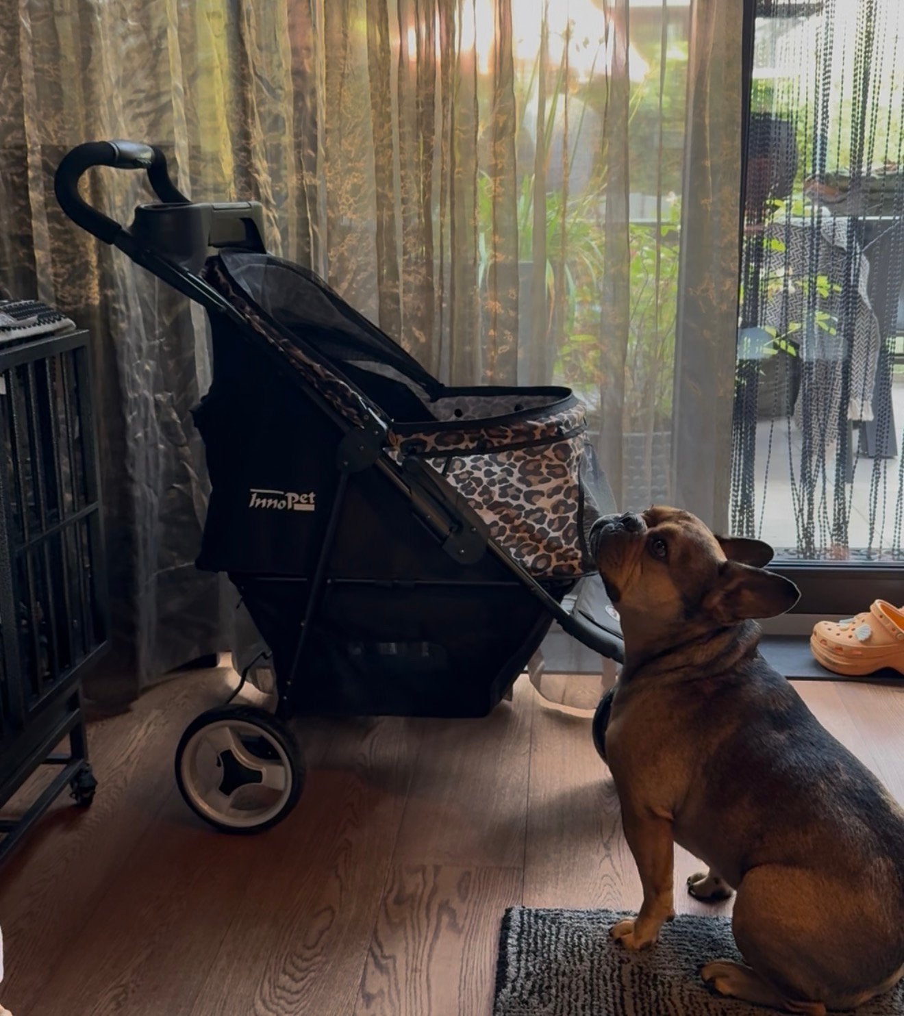 Buggy voor honden/ katten, Dieren en Toebehoren, Honden-accessoires, Ophalen of Verzenden, Zo goed als nieuw
