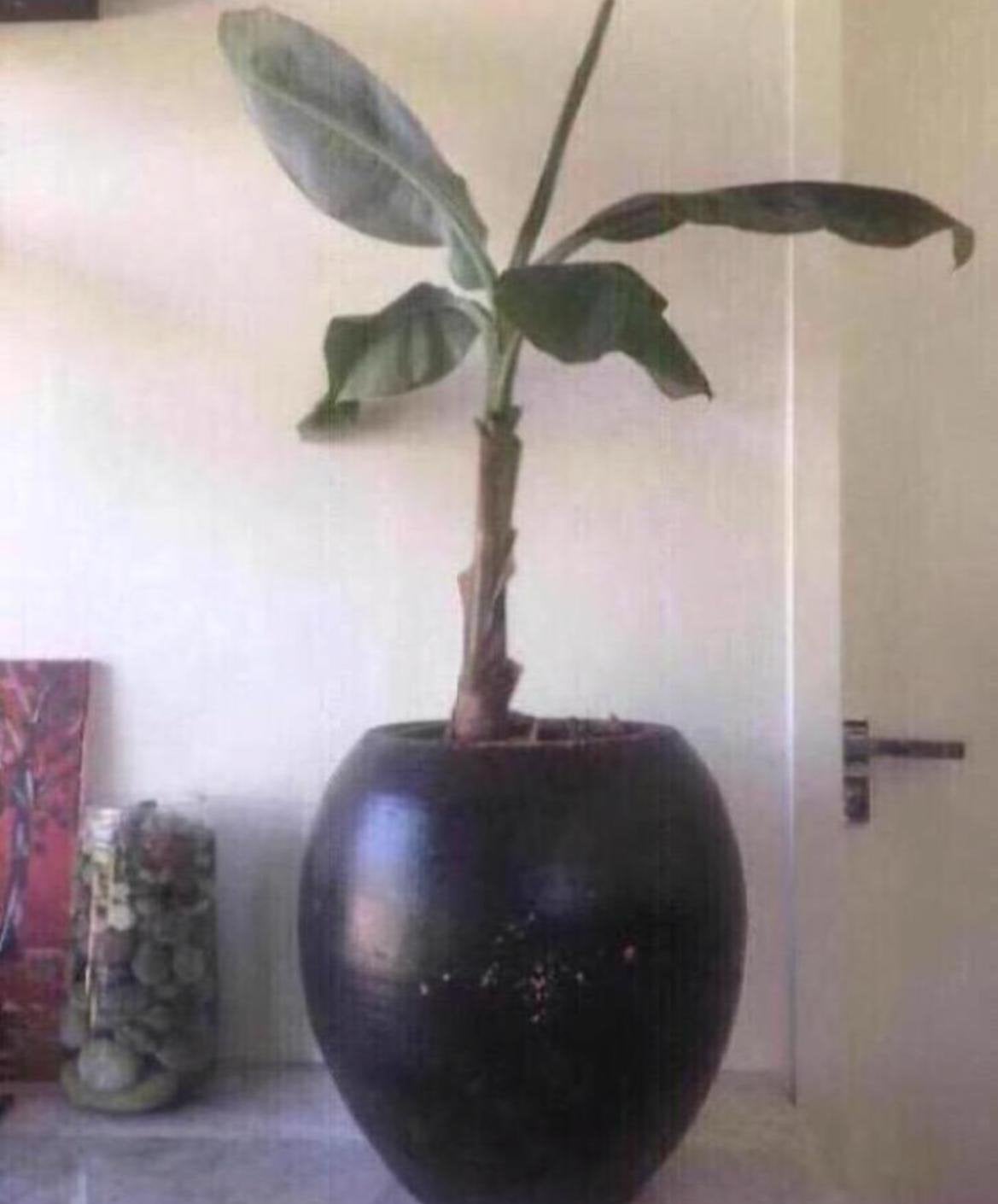 Vintage jaren’60 vaas bol bloempot groot, voor binnen, Tuin en Terras, Bloempotten, Gebruikt, Rond, Binnen, Minder dan 40 cm