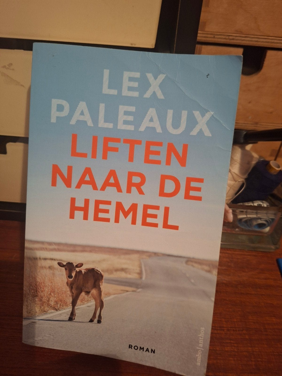 Lex Paleaux - Liften naar de hemel, Verzenden, Gelezen, Lex Paleaux