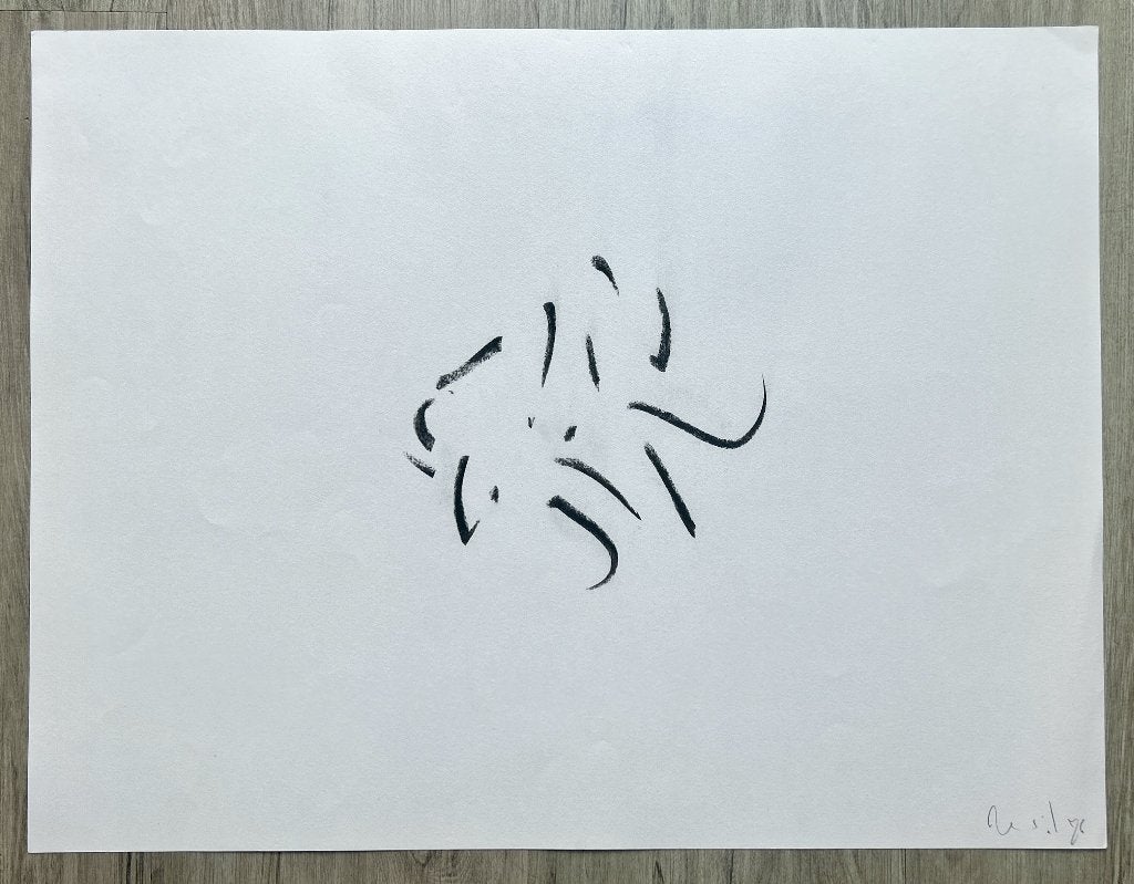 Tekening Houtskool Wil Blommerde  ZOMEROPRUIMING, Antiek en Kunst, Kunst | Litho's en Zeefdrukken, Gesigneerd, Verzenden, Overige techniek