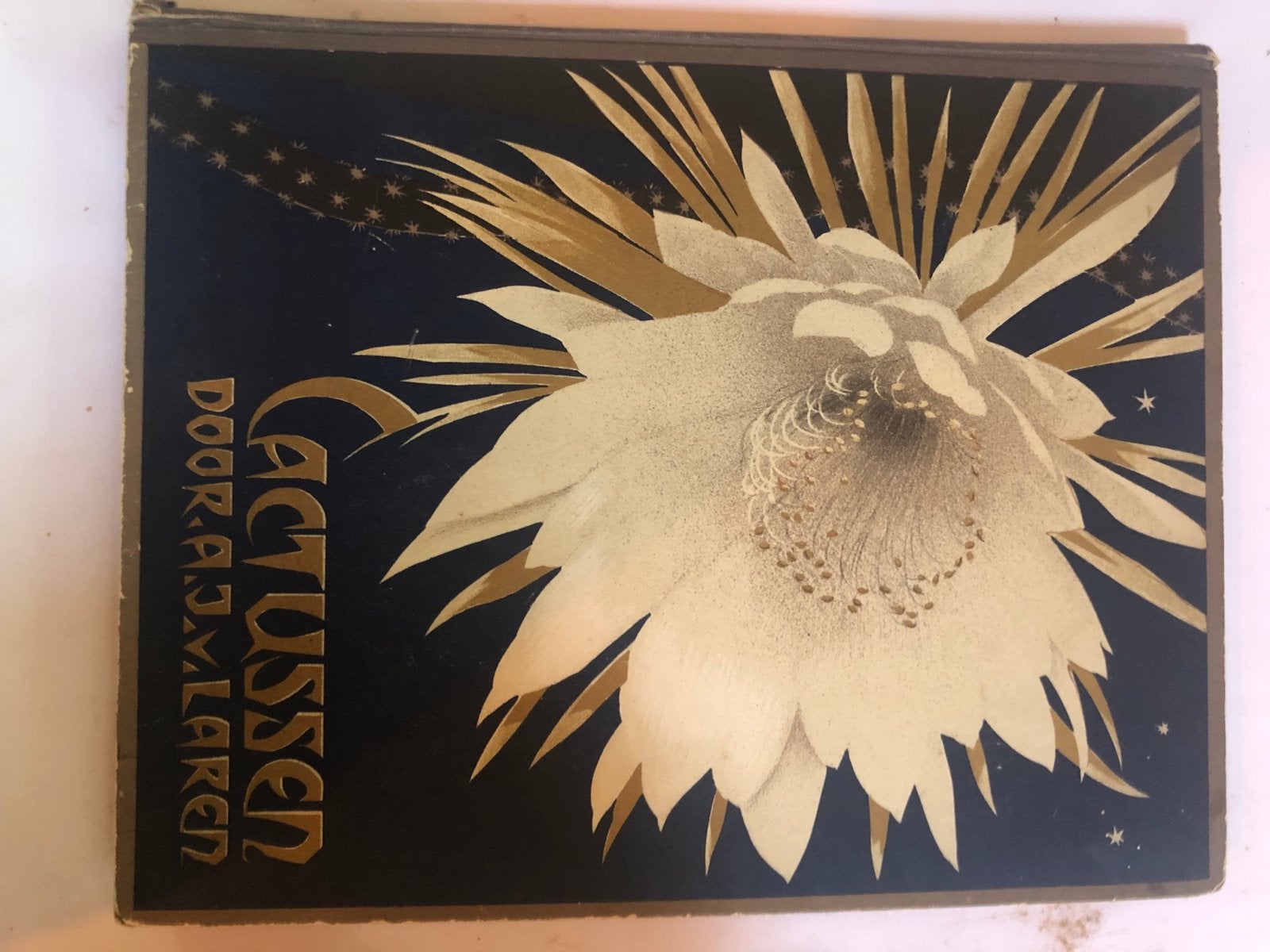 Compleet album Cactussen door A.J.M. Laren - Vintage, Boeken, Ophalen of Verzenden, Gelezen, Bloemen, Planten en Bomen
