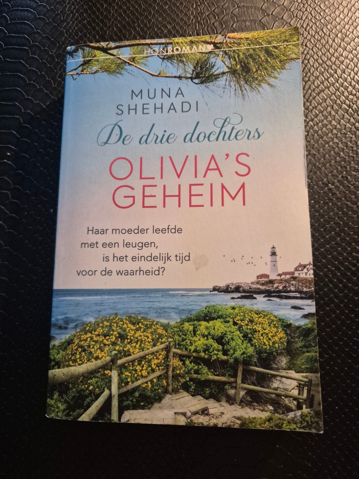 de drie dochters, Boeken, Ophalen of Verzenden, Zo goed als nieuw, Muna Shehadi