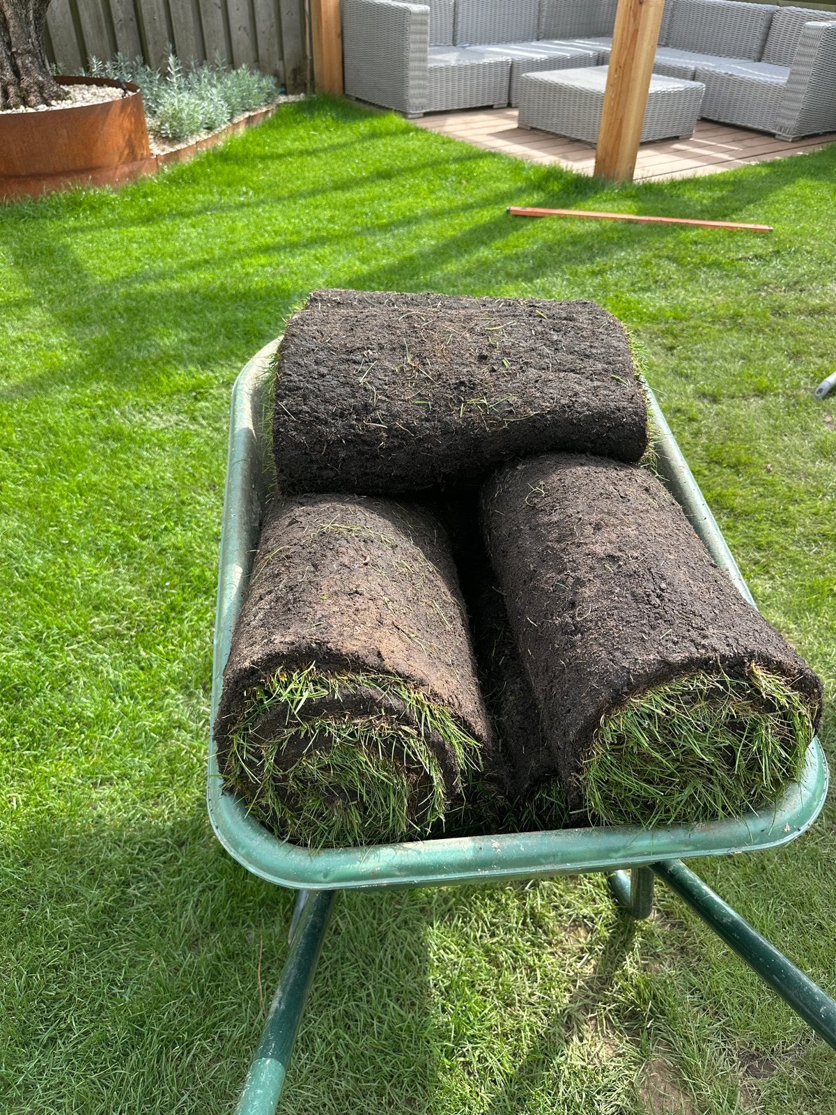 7 verse grasmatten - 4,2 m² over van project, Tuin en Terras, Ophalen, Zo goed als nieuw, Minder dan 10 m², Gras