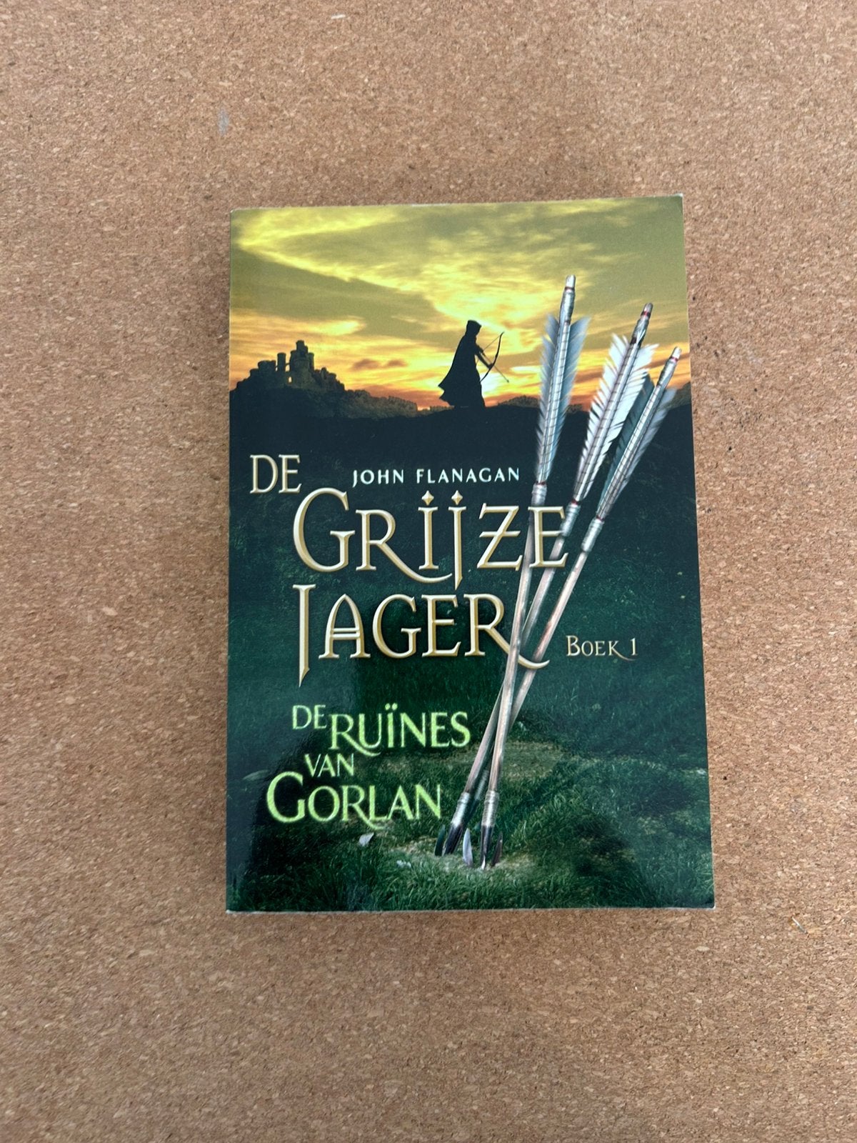 De Grijze Jager, boek 1, Ophalen of Verzenden, Zo goed als nieuw
