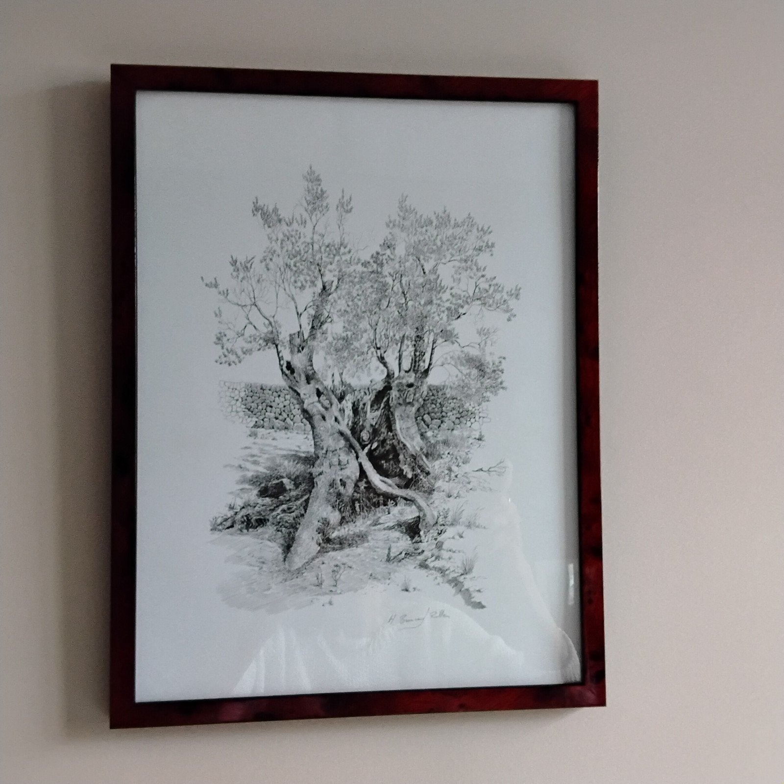 Olijfboom pentekening ingelijst - H. Brouwer Rullen, Ophalen of Verzenden
