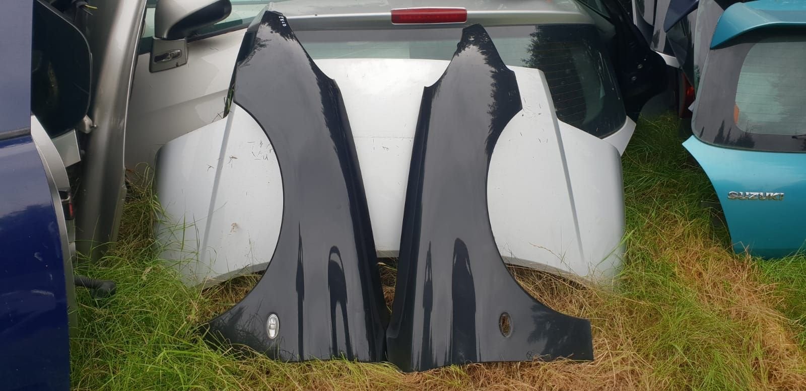 PEUGEOT 206 VOORSCHERMEN CODE EXLD, Auto-onderdelen, Carrosserie en Plaatwerk, Spatbord, Gebruikt, Ophalen of Verzenden