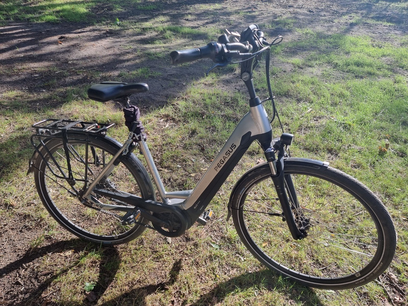PEGASUS RAVENNA EVO 5 BELT., Fietsen en Brommers, 47 tot 51 cm, Ophalen, Zo goed als nieuw, Overige merken