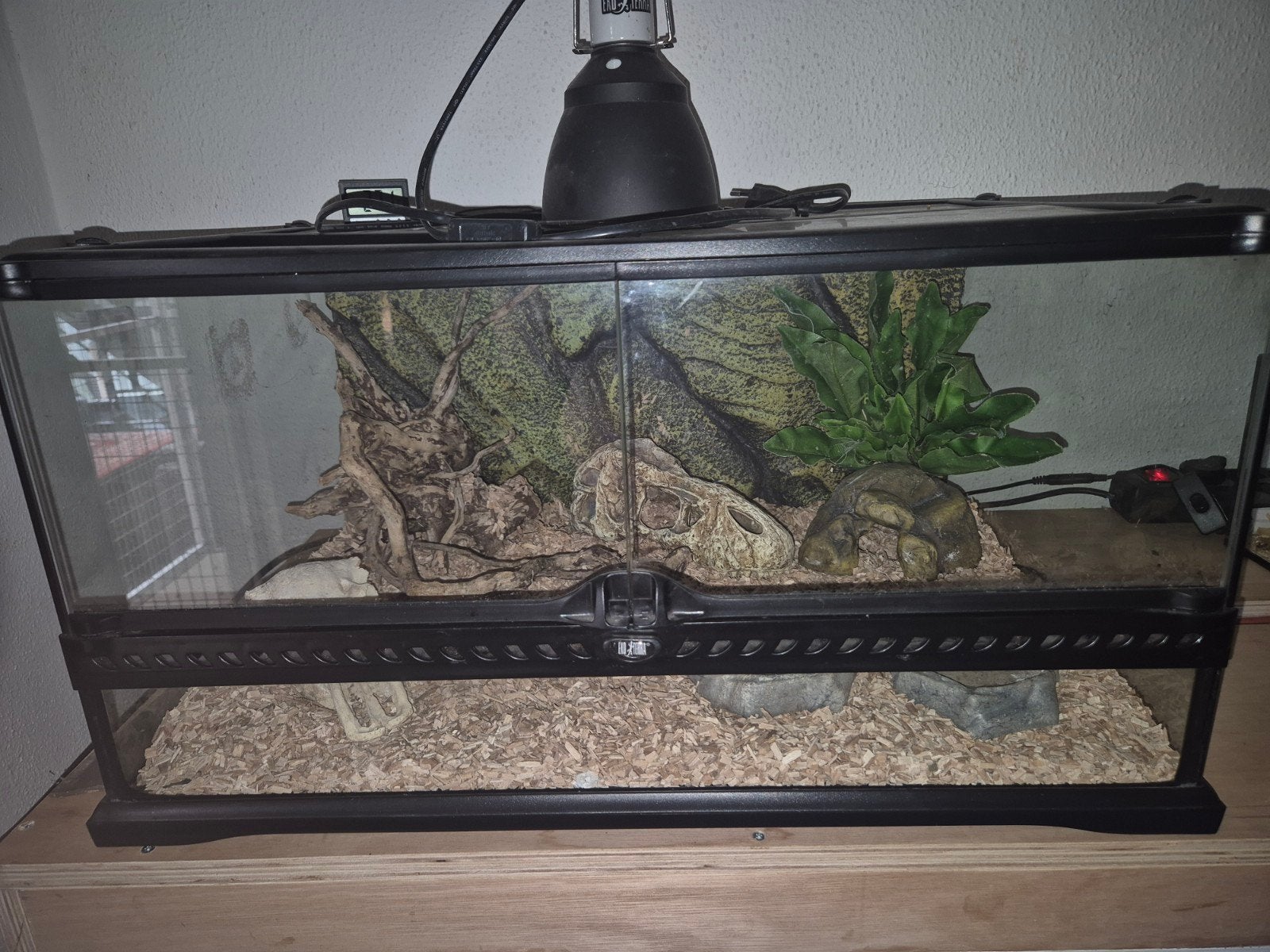 Exo terra 60 45 30 exoterra terrarium, Dieren en Toebehoren, Ophalen, Zo goed als nieuw, Terrarium of Paludarium