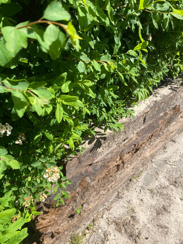 Bielzen 3x, Ophalen, Zo goed als nieuw, Hout, Biels