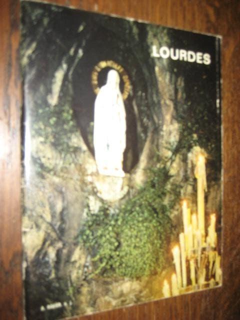 A ravier lourdes geniet boekje over lourdes veelafbeeldingen, Boeken, Ophalen of Verzenden, Gelezen