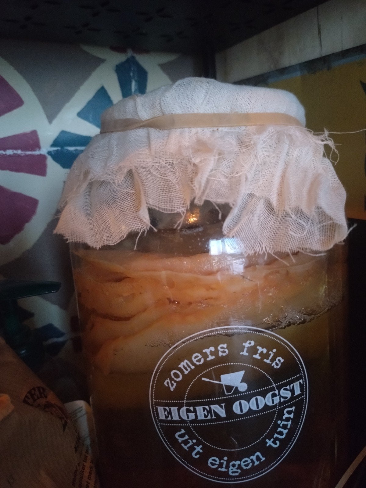 Kombucha zwam / Scoby, Ophalen