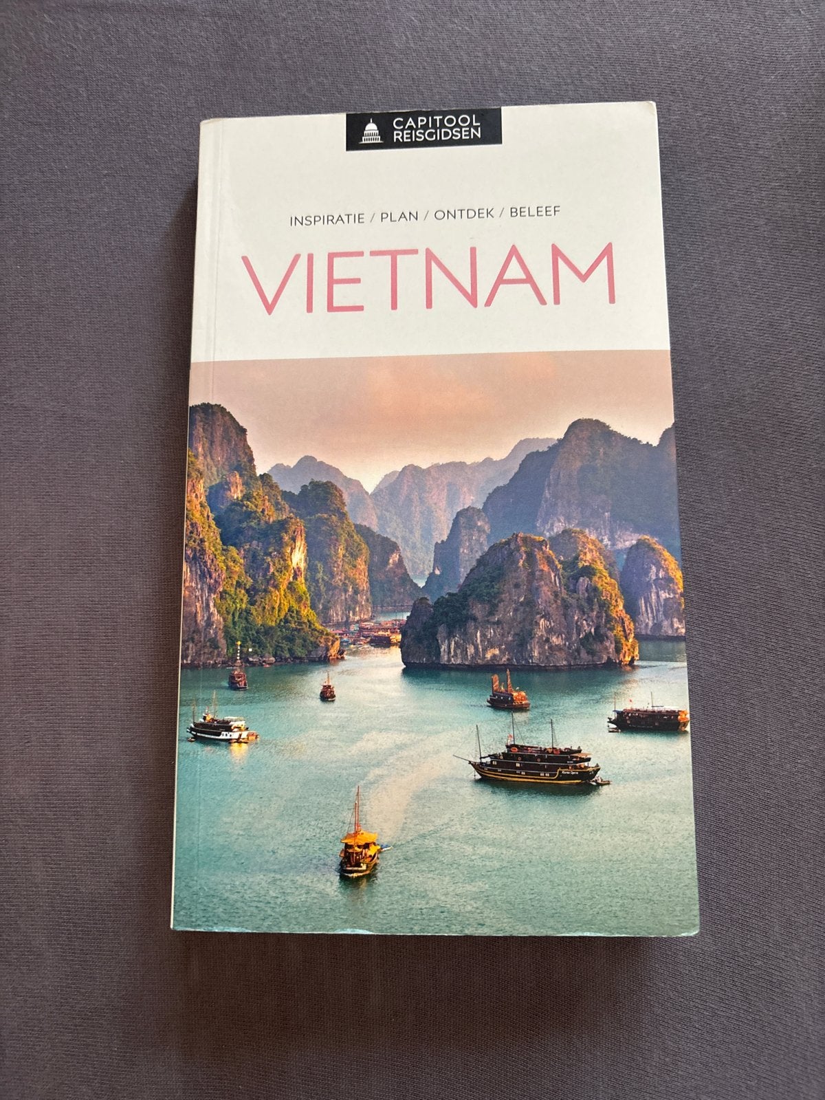 Capitool Reisgids Vietnam: Inspiratie, Plan, Ontdek, Beleef, Capitool, Ophalen of Verzenden, Zo goed als nieuw, Reisgids of -boek