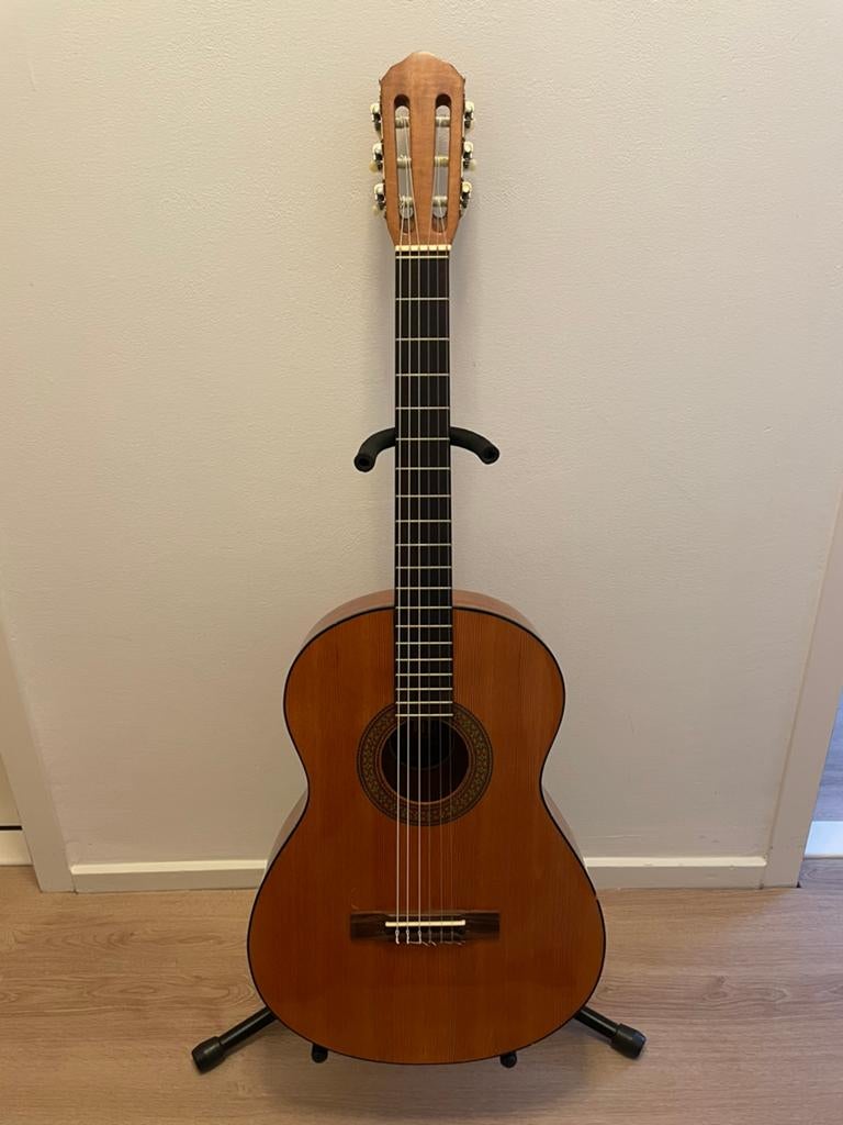 Melody Guitars Klassieke gitaar - Hals getordeerd, Ophalen, Gebruikt, Klassieke of Spaanse gitaar