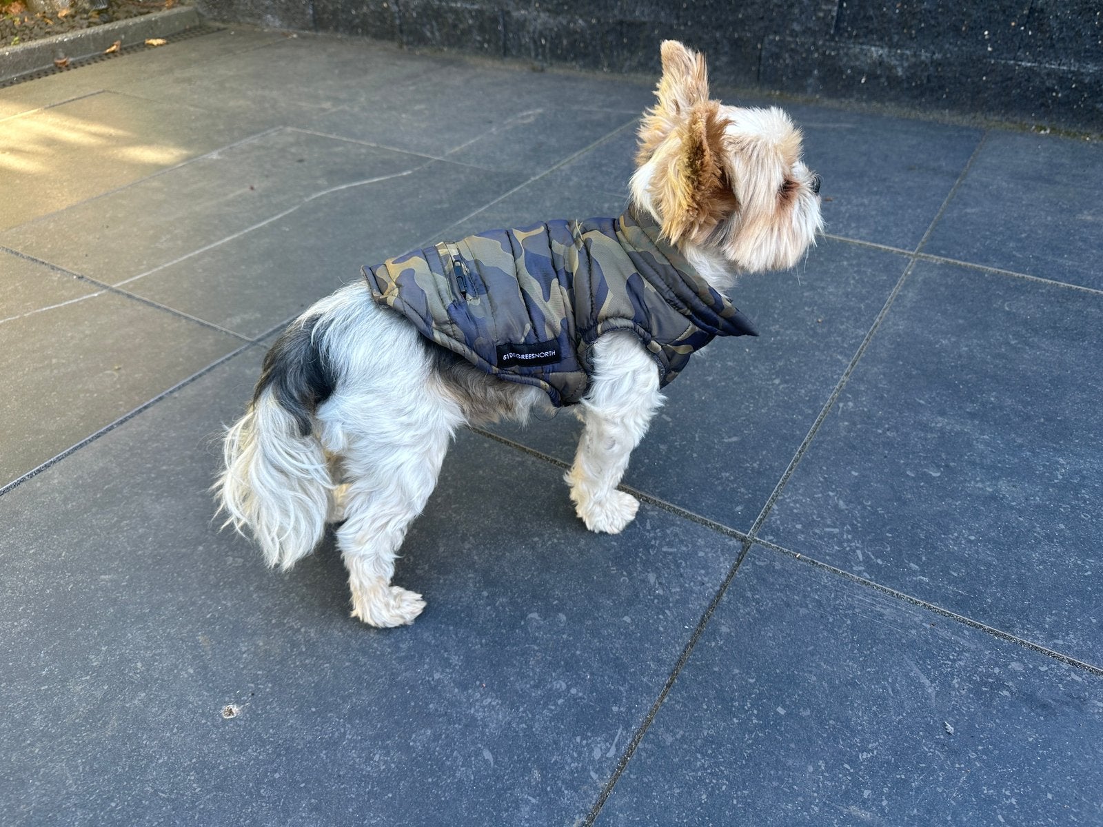 Honden winter jasjes, Ophalen of Verzenden, Zo goed als nieuw