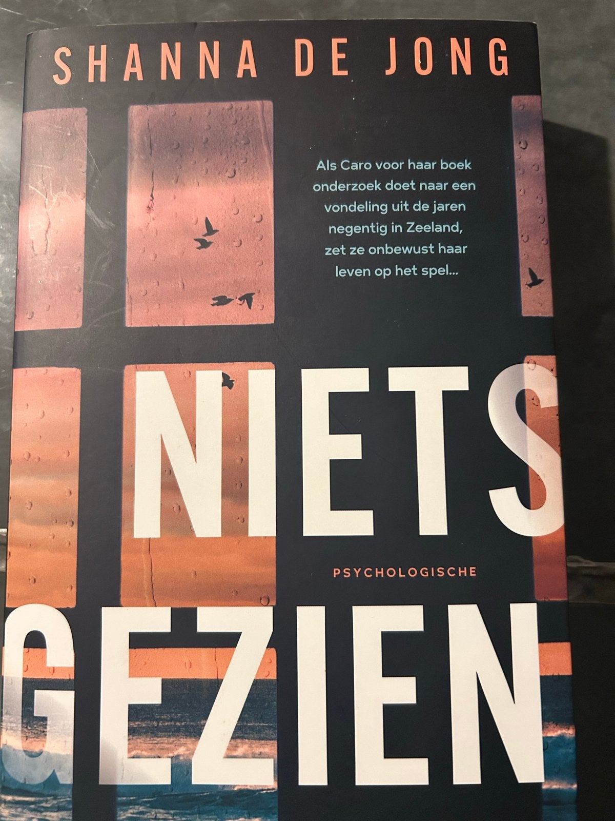 Niet Gezien - Shanna de Jong (Psychologische Thriller), Ophalen of Verzenden, Zo goed als nieuw, Nederland
