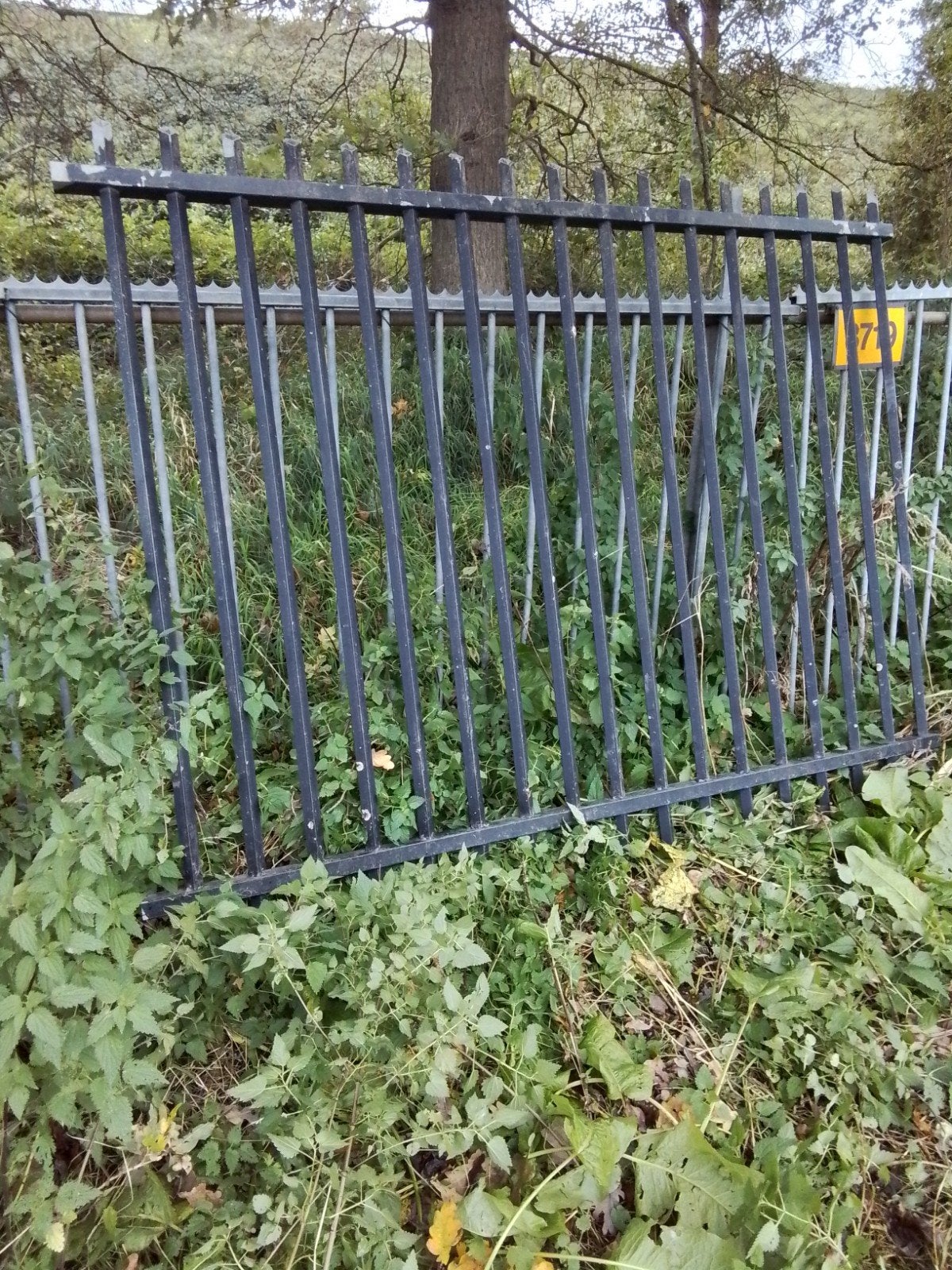 Zware hekken per stuk, Ophalen, Gebruikt, IJzer, Spijlenhekwerk