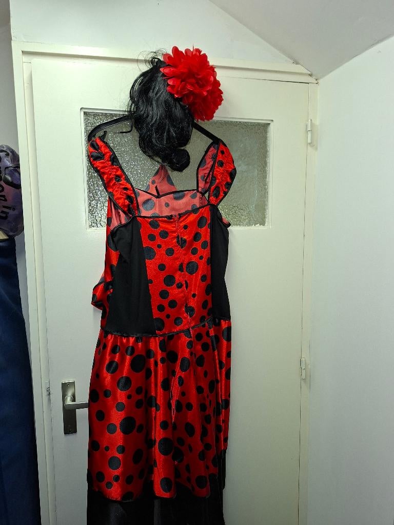carnaval, Kleding | Dames, Carnaval, Maat 42/44 (L), Ophalen of Verzenden, Zo goed als nieuw