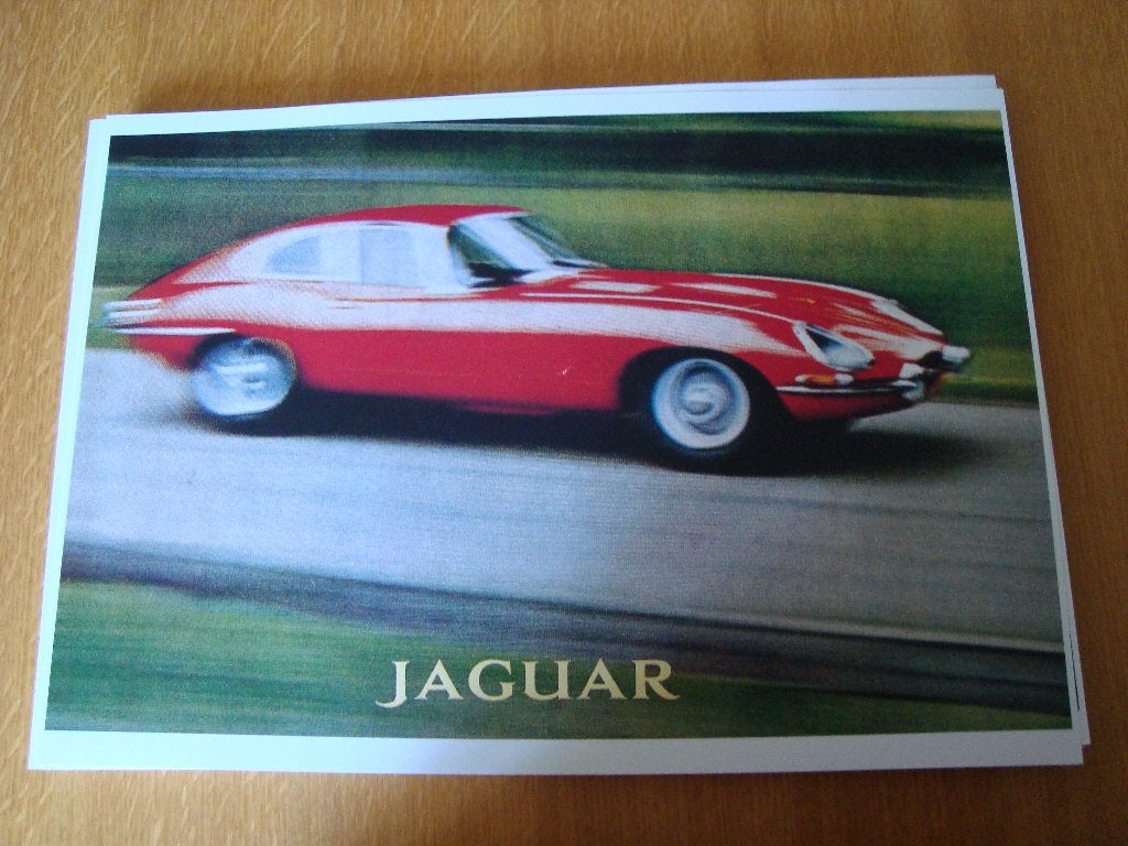 Jaguar plaat 42-30 cm, Ophalen of Verzenden, Nieuw, Auto's