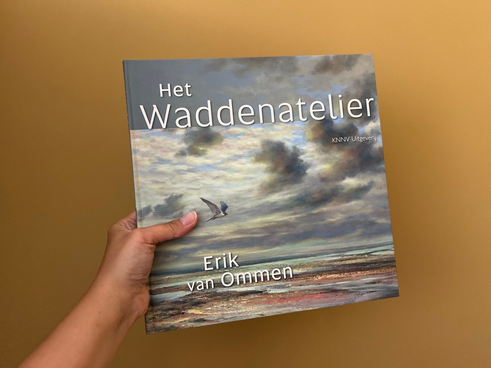 Boeken Erik van Ommen: Het Waddenatelier en meer, Ophalen of Verzenden, Zo goed als nieuw, Natuur algemeen