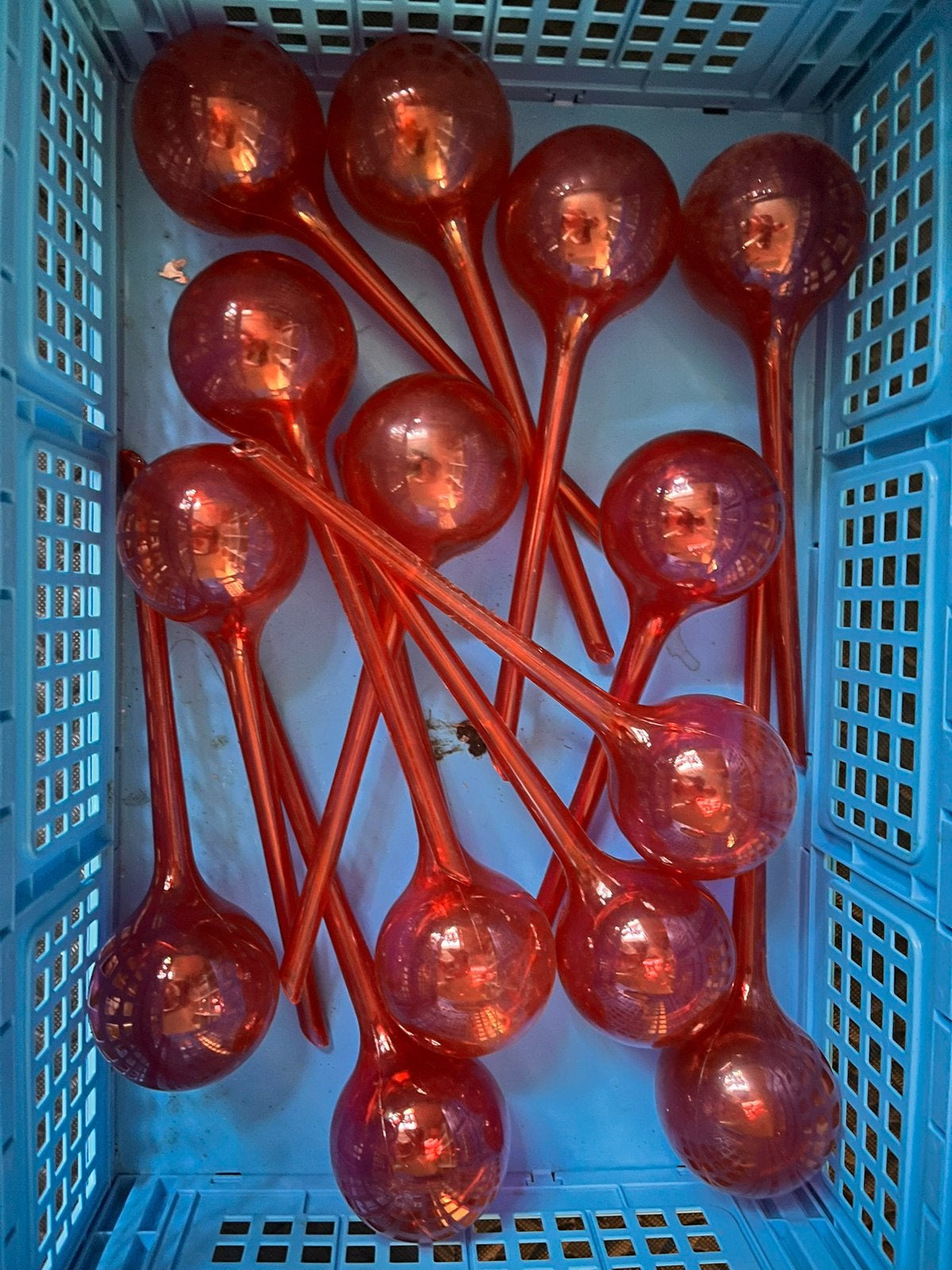 14x Waterbollen | Waterdruppelaar | watergeefsysteem, Huis en Inrichting, Kamerplanten, Ophalen of Verzenden, Halfschaduw, Minder dan 100 cm