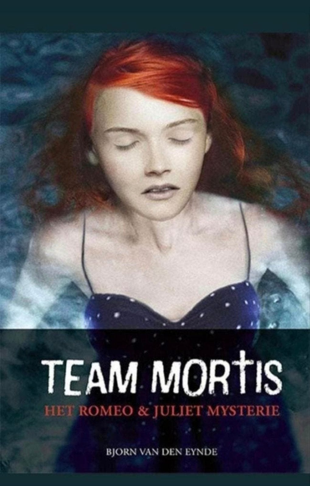 Team Mortis - Bjorn van den Eynde, Boeken, Kinderboeken | Jeugd | 13 jaar en ouder, Zo goed als nieuw, Verzenden