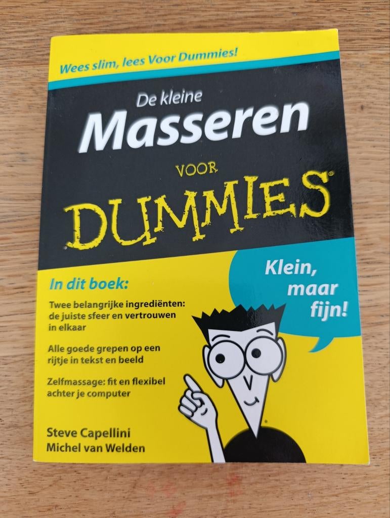 Steve Capellini, De kleine masseren voor Dummies, Steve Capellini; Michel van Welden, Overige typen, Ophalen of Verzenden, Zo goed als nieuw