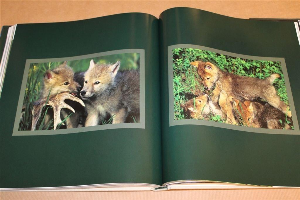 De Wolf — Alles over zijn Leven, Gedrag en Jacht, Boeken, Dieren en Huisdieren, Ophalen of Verzenden, Zo goed als nieuw, Overige diersoorten