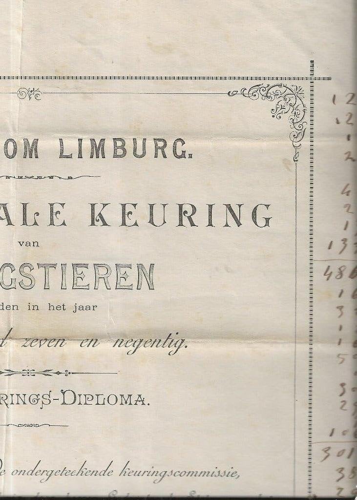 Heerlen Hertogdom Limburg Keuring Springstieren 1897, Ophalen of Verzenden, Voor 1920, Gelopen, Limburg