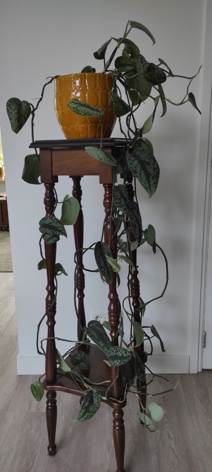 Te koop hoge houten plantentafel inclusief klimplant., Ophalen, Zo goed als nieuw