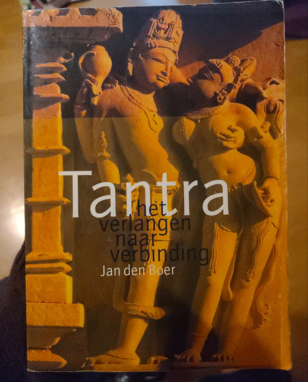 Tantra: Het verlangen naar verbinding - Jan den Boer, Ophalen