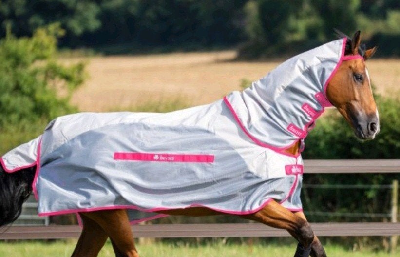 Nieuw Bucas Buzz-Off Rain Rug & Neck, 0g _ 4'3, Dieren en Toebehoren, Paarden en Pony's | Dekens en Dekjes, Bucas, Shetlander/Mini
