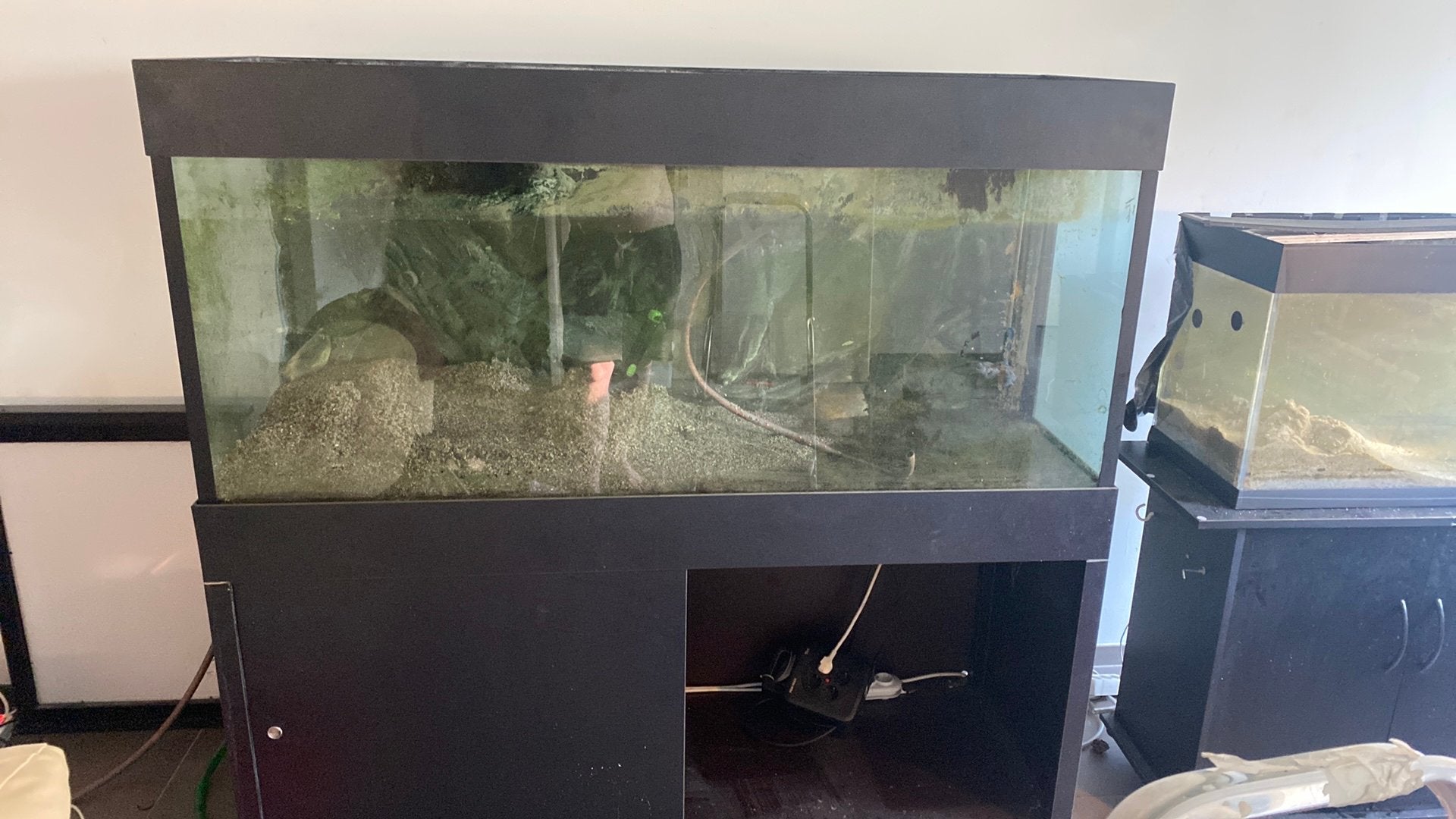 Aquaria, Ophalen, Gebruikt, Leeg aquarium
