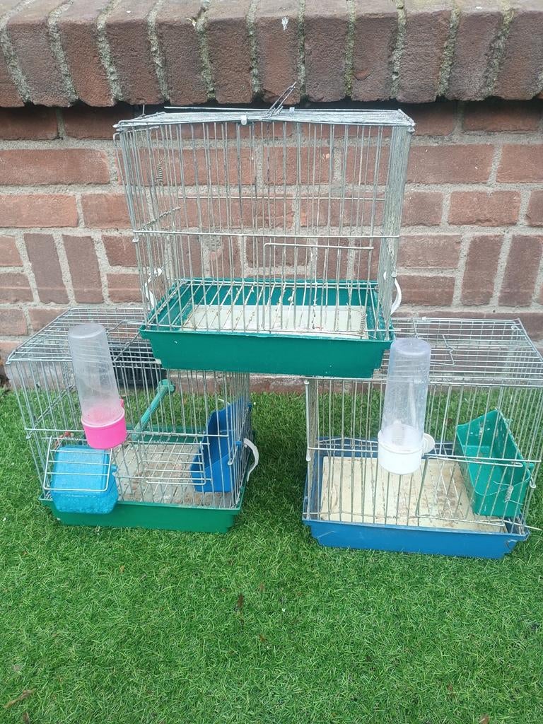 Vogels kooi, Ophalen, Hout, Vogelkooi